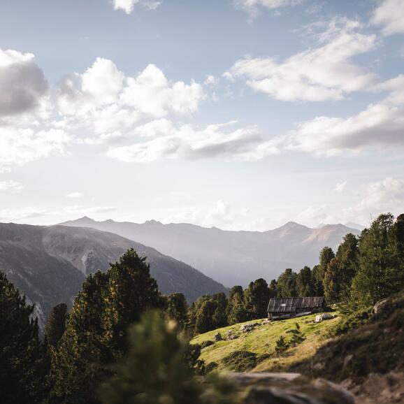 72-idm-patrick-schwienbacher-nationalpark-stilfserjoch