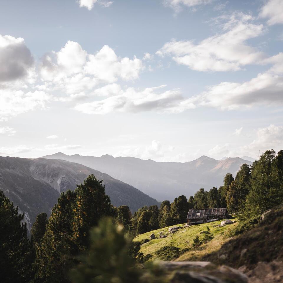 72-idm-patrick-schwienbacher-nationalpark-stilfserjoch